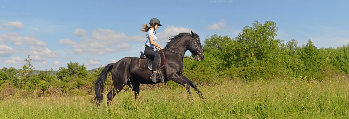 Junge Reiterin mit dunkelbraunem Pferd im Galopp auf einer Wiese