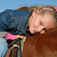Schulpferdehaftpflicht und Reitlehrerhaftpflicht - die wichtige Pferdeversicherung