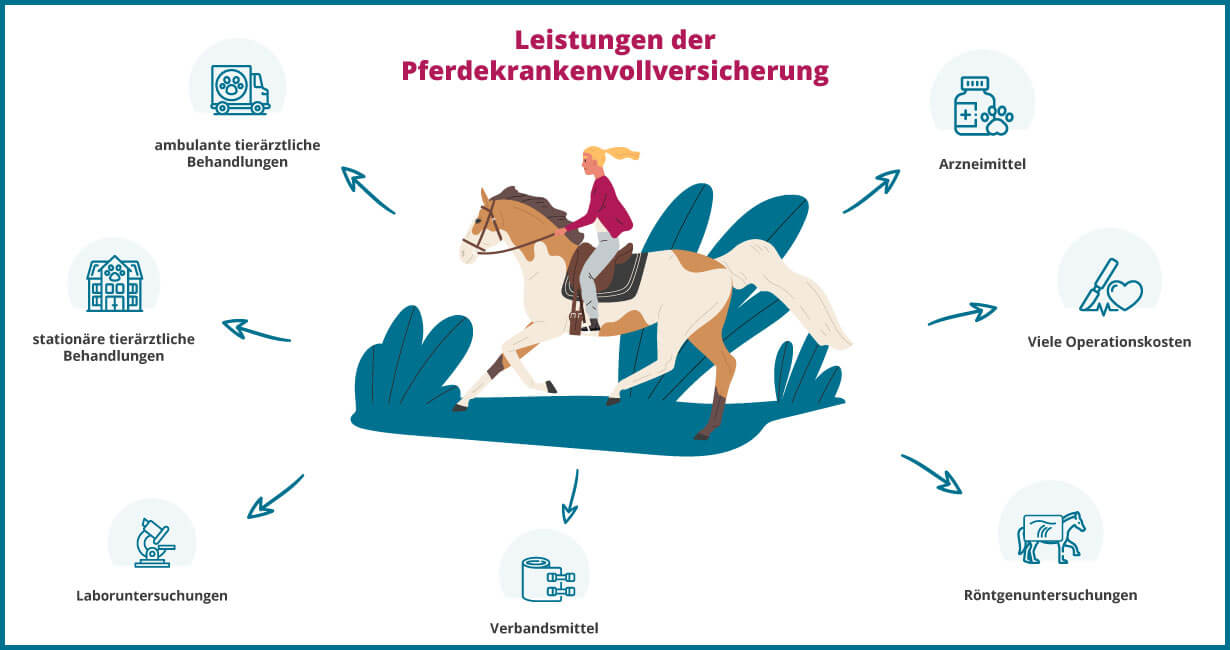Infografik - Leistungen der Pferdekrankenversicherung