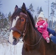 Die Reitbeteiligung in der Pferdehaftpflichtversicherung