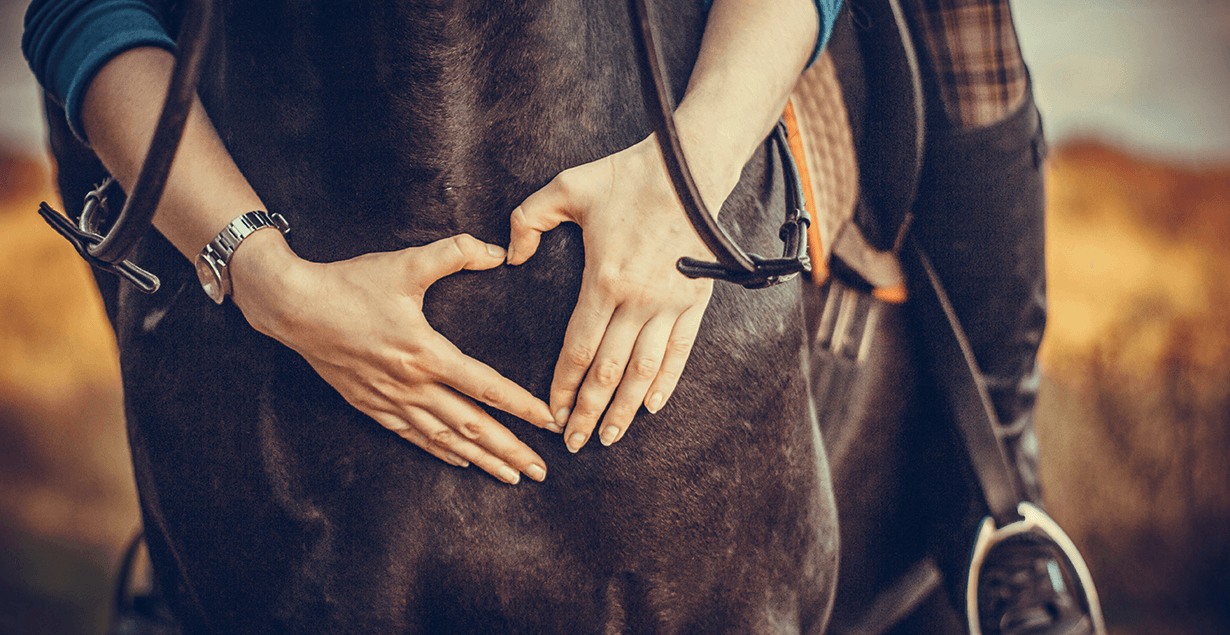 Reiterin zeigt Herz mit den Händen für ihr Pferd