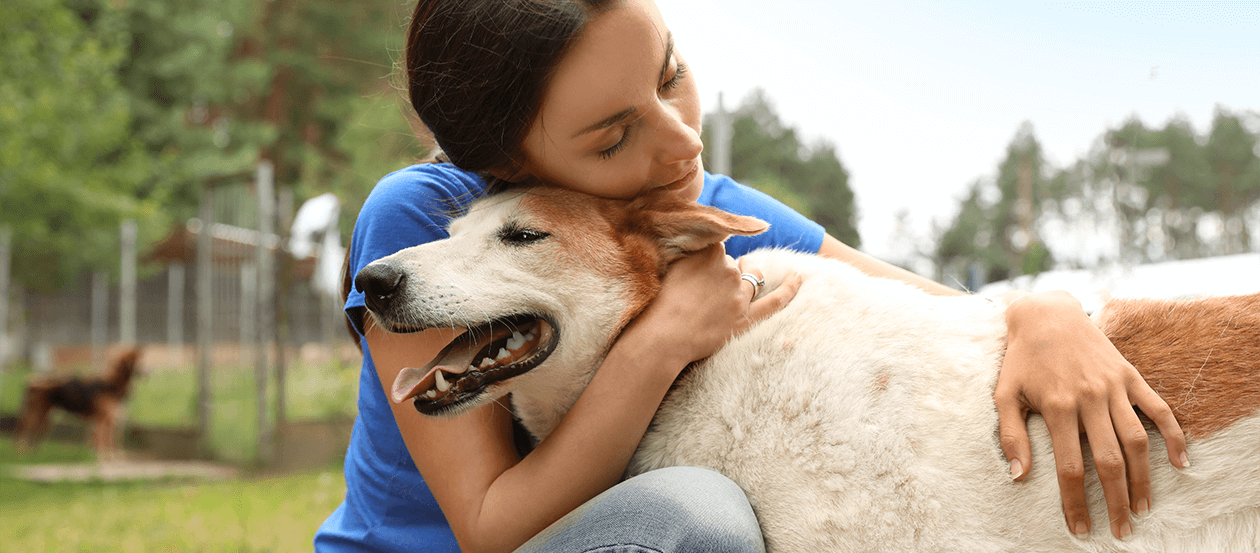 Tierheimmitarbeiterin umarmt einen Hund